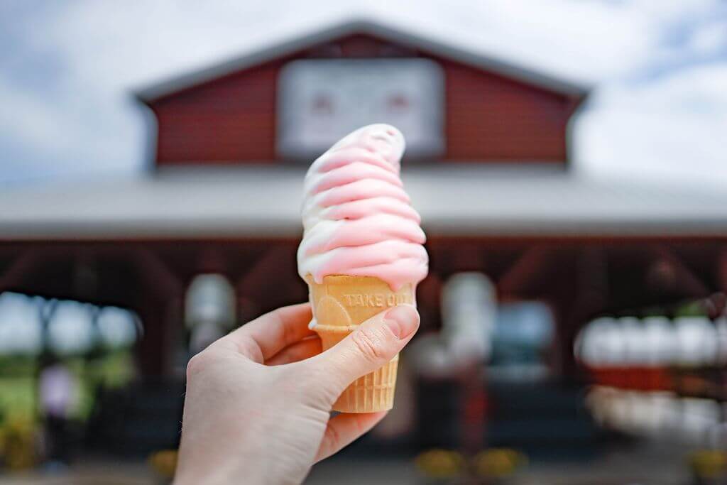 ice cream scoop from Bush-N-Vine