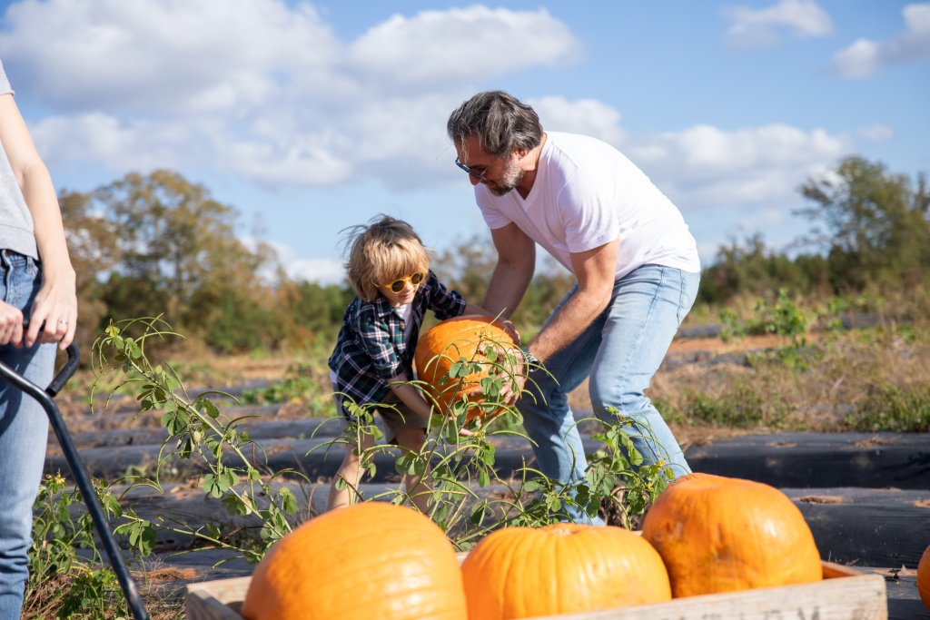 picking pumpkins at Hall Family Farm in Lancaster County in the Olde English District